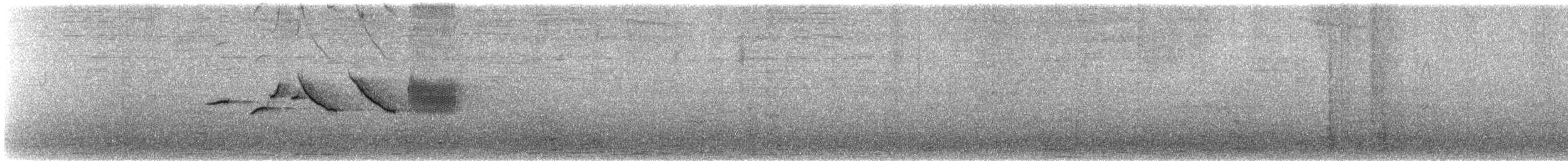 Chingolo Común - ML644807680