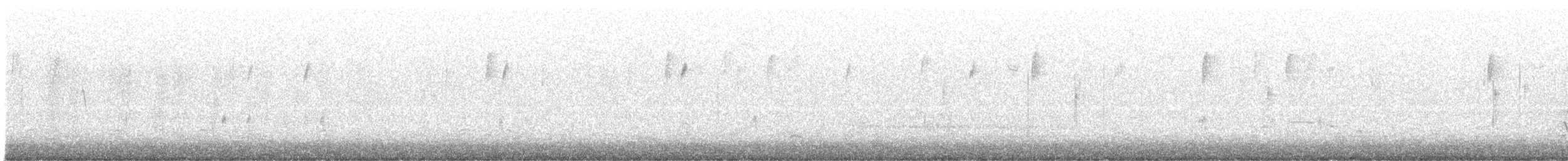 Chingolo Cantor - ML644808679