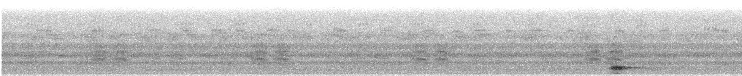 Бугай американський - ML644808767