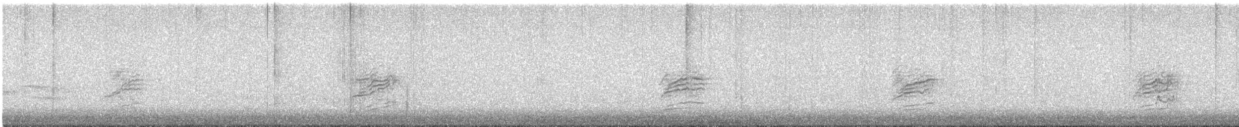 Einsiedler-Musendrossel - ML644809691