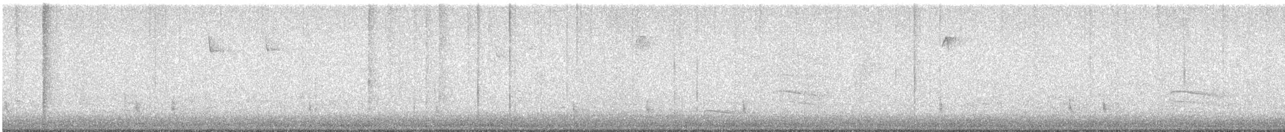 Einsiedler-Musendrossel - ML644809692