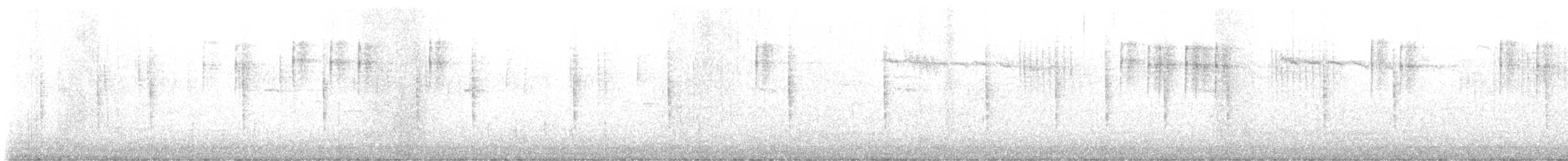 Mosquitero Sombrío - ML644809815