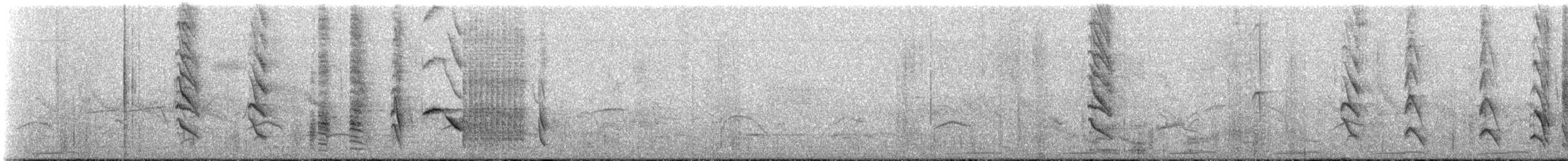 Austral Blackbird - ML644810053