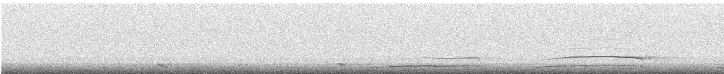 Northern Saw-whet Owl - ML644810281