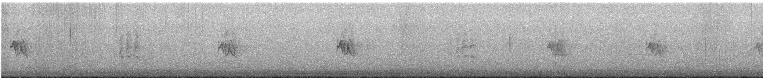 Tarin des pins - ML644810426