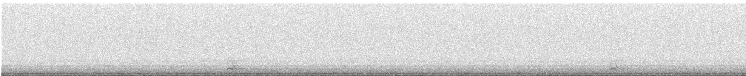 Northern Saw-whet Owl - ML644810485