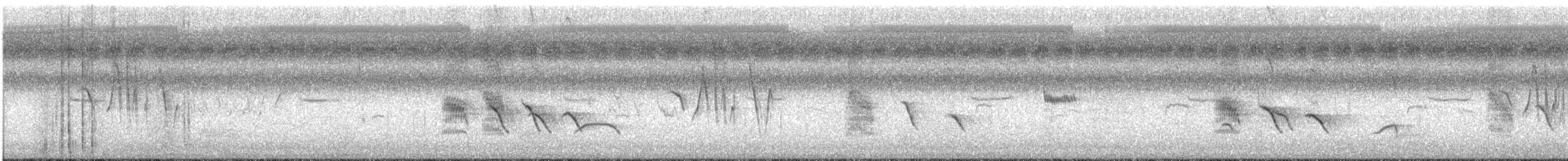 Kara Drongo - ML644810685