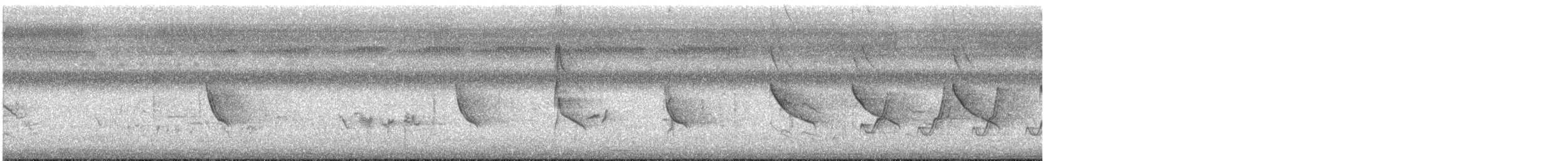 Couturière à longue queue - ML644810726