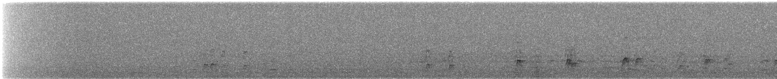 Canard siffleur - ML644811515