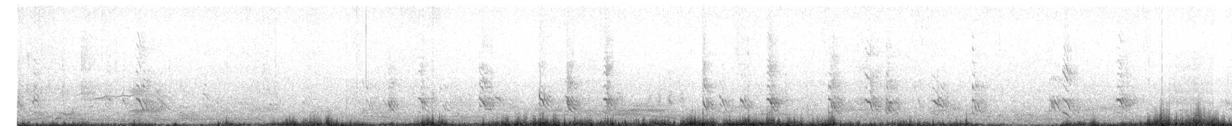 Галка звичайна - ML644811590