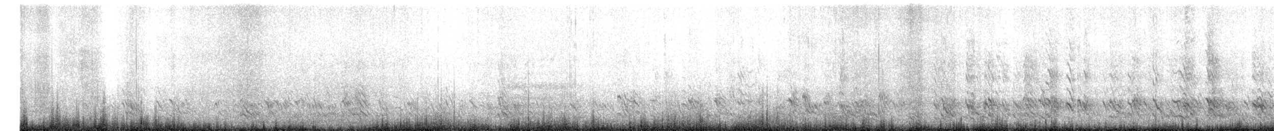 Галка звичайна - ML644811599