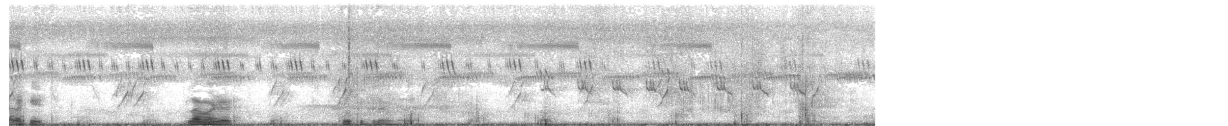 plommehodeparakitt - ML644811670