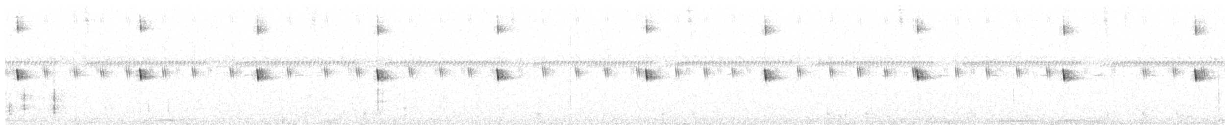 ハサミヨタカ - ML644811685