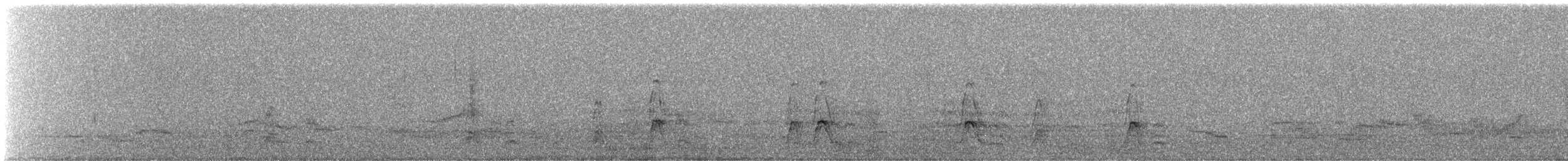 Canard siffleur - ML644811807