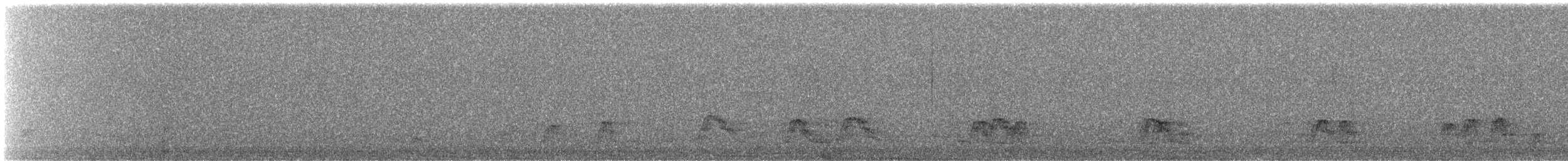 Canard siffleur - ML644811939