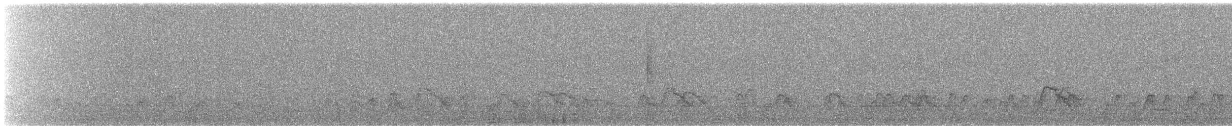 Canard siffleur - ML644811940