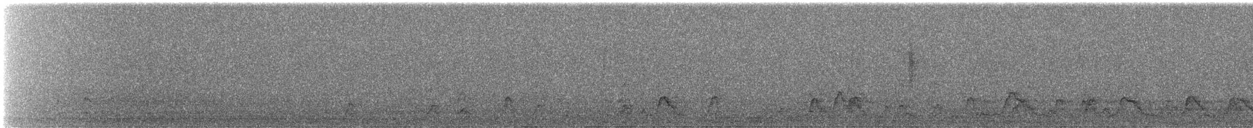 Canard siffleur - ML644812018