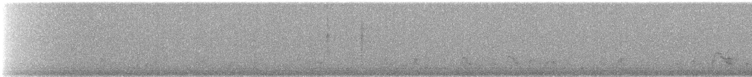 Canard siffleur - ML644812020