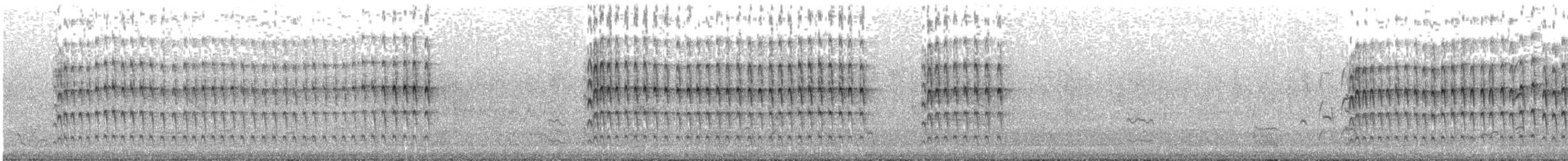 Guira Cuckoo - ML644812083