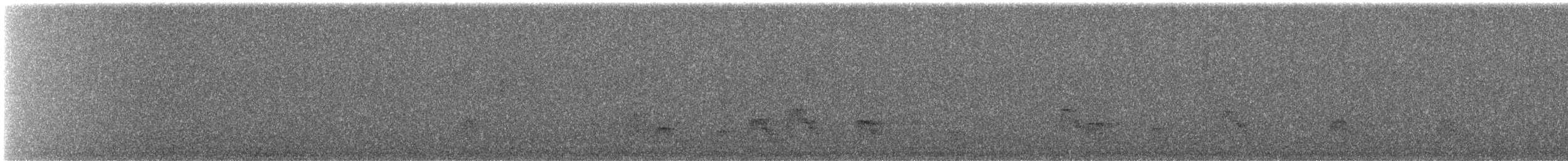 Canard siffleur - ML644812133