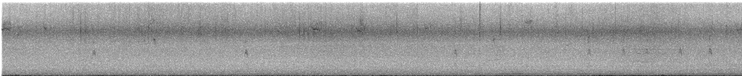 Chingolo Cantor - ML644812143