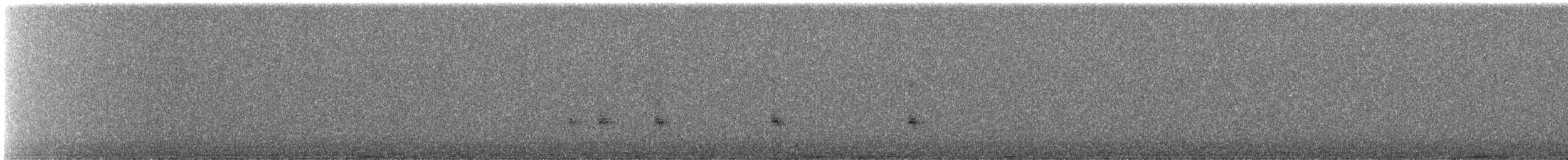 Râle d'eau - ML644812433