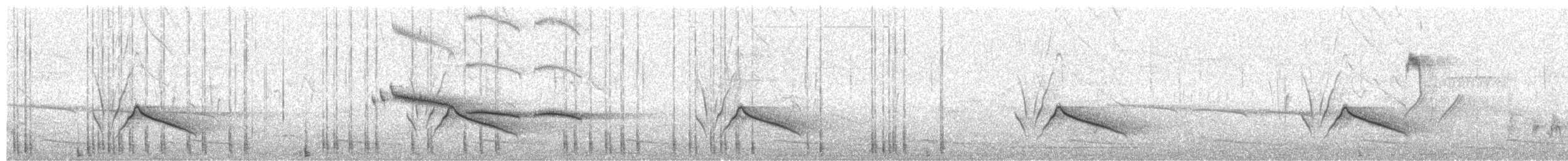 Streaked Laughingthrush - ML644812462