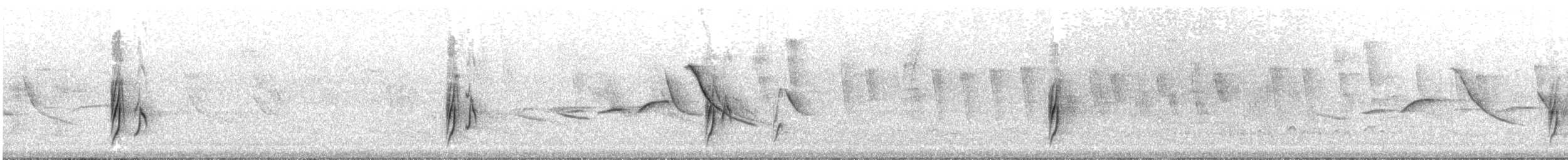 Streaked Flycatcher - ML644812516