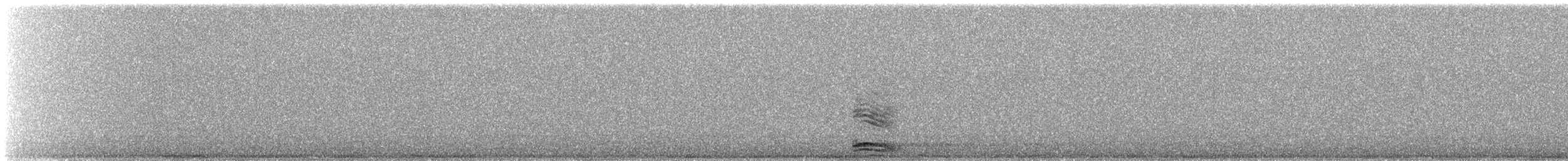 Txori zezen arrunta - ML644812572