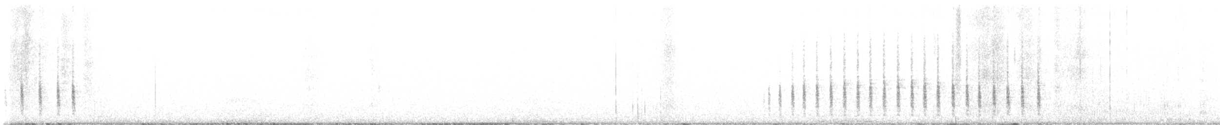 Cactus Wren - ML644812770