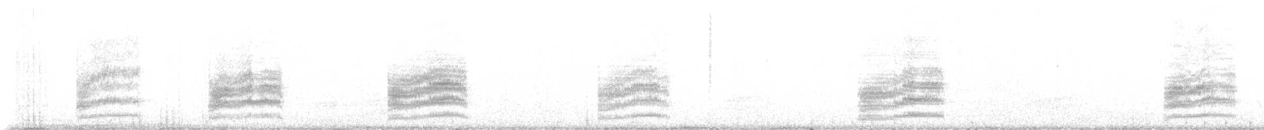 Spotted Towhee - ML644812788