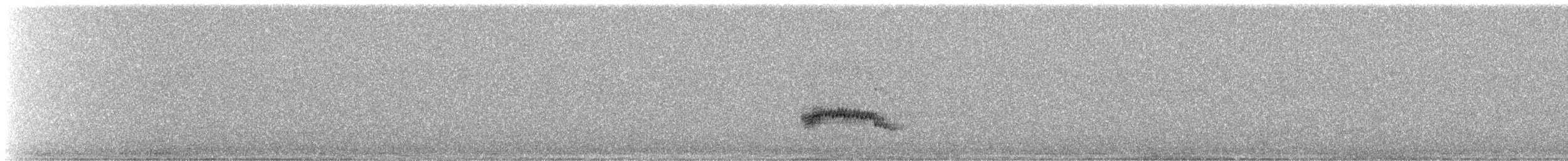 Râle d'eau - ML644812888