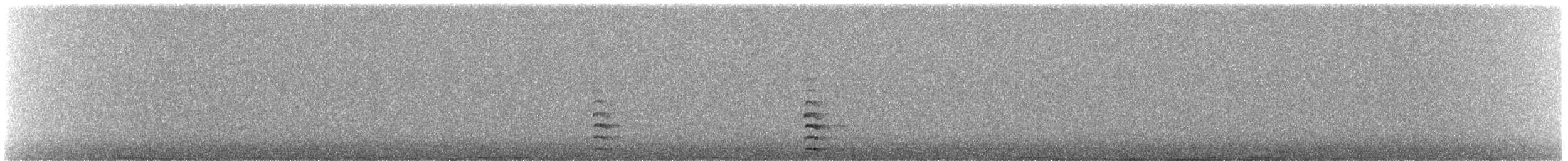 Foulque macroule - ML644812969