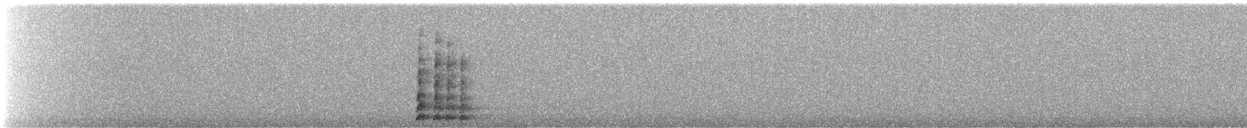 Gallinule poule-d'eau - ML644813473