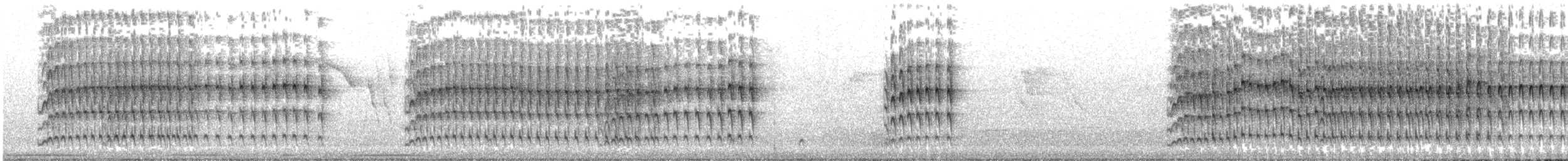 Guira Cuckoo - ML644813541