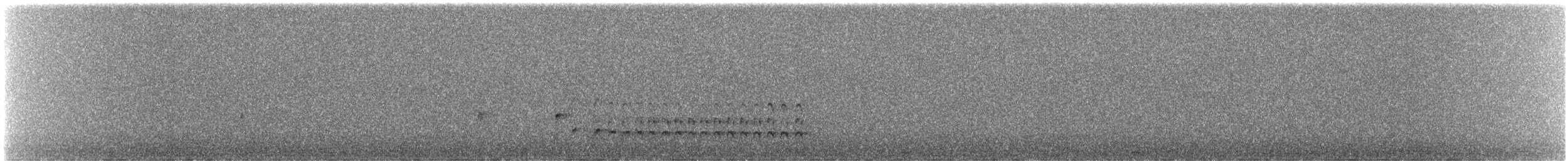 Grèbe castagneux - ML644813585