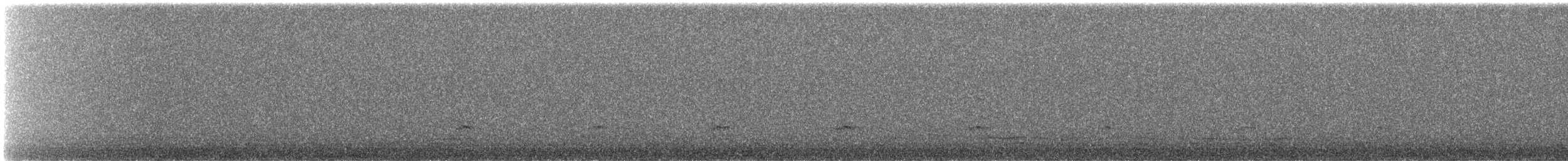 Sarcelle d'hiver - ML644813614