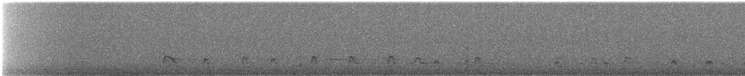 Canard siffleur - ML644813893