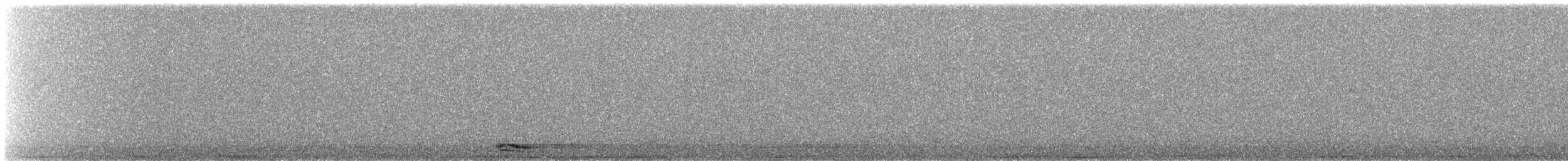 Butor étoilé - ML644813963