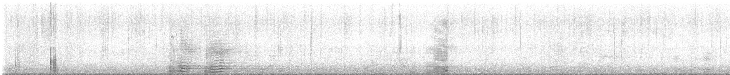 berneška velká - ML644815012