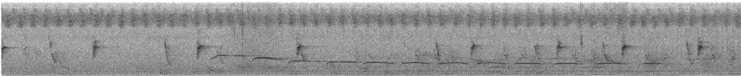 Black-crowned Tchagra (Black-crowned)