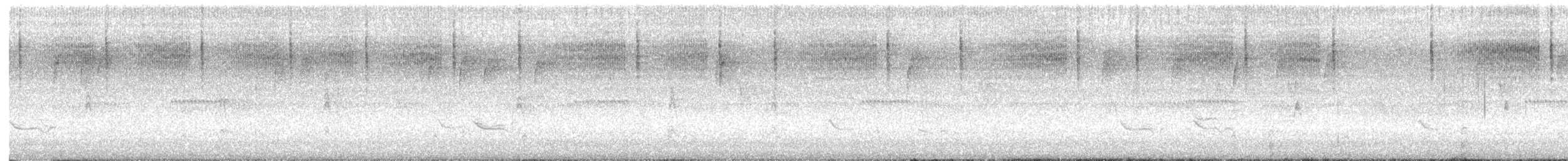 Chingolo Cantor - ML644815692