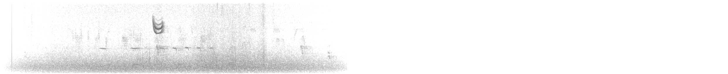 Chingolo Cantor - ML644815772