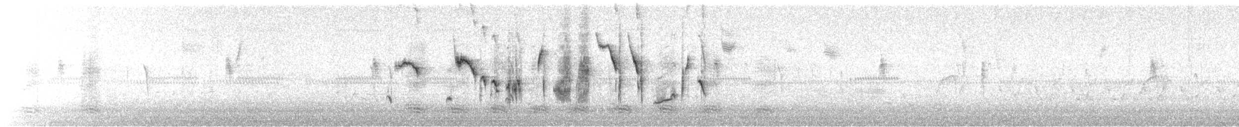 Chingolo Cantor - ML644815810