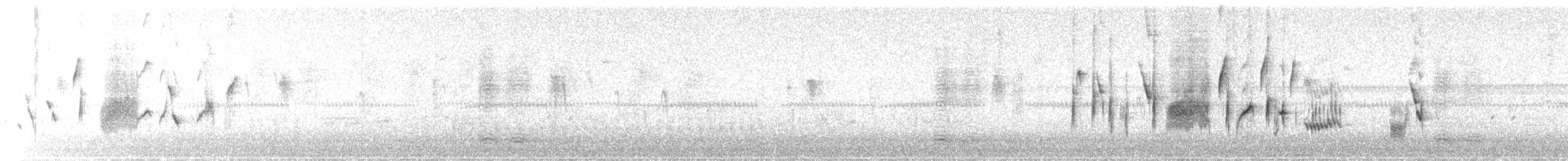 Chingolo Cantor - ML644815825