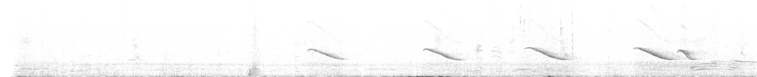 Дідрик рудохвостий - ML644815859