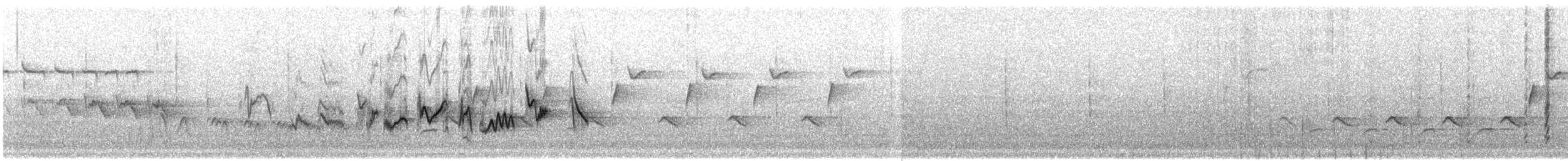 Western Warbling Vireo - ML644818131