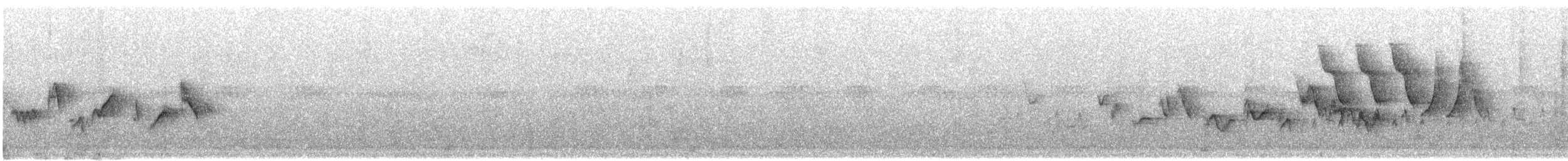 Western Warbling Vireo - ML644818140