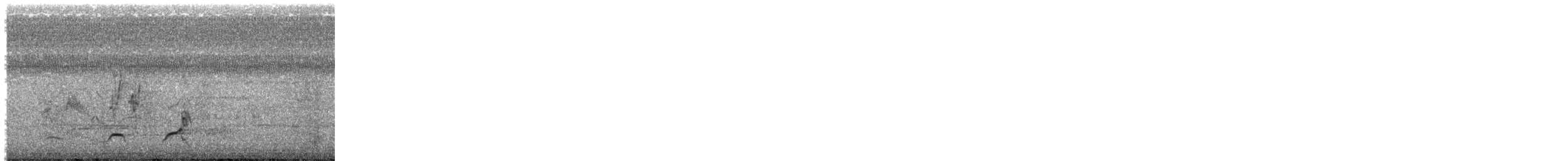 Crested Bobwhite - ML644818161