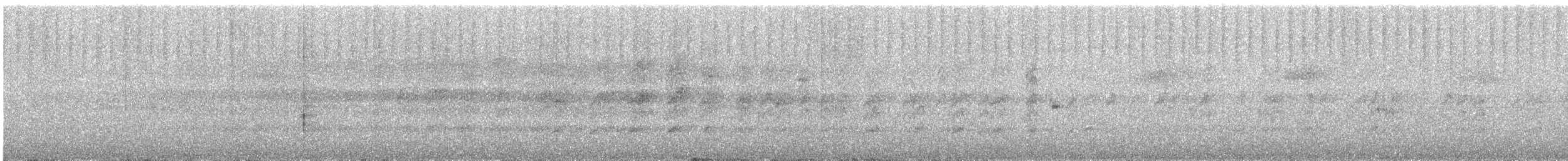 Maroon-tailed Parakeet - ML644818186